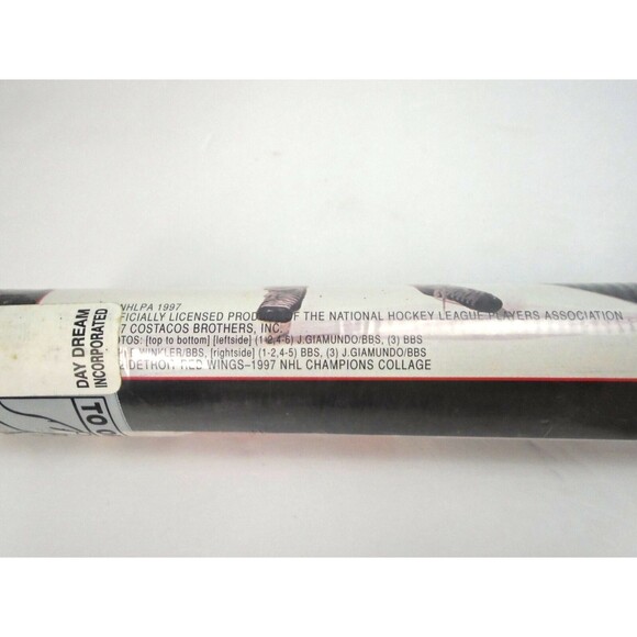 Vintage Detroit Red Wings NHL Original 1997-98 Stanley Cup Champs Posters Lot x2 - Picture 2 of 10